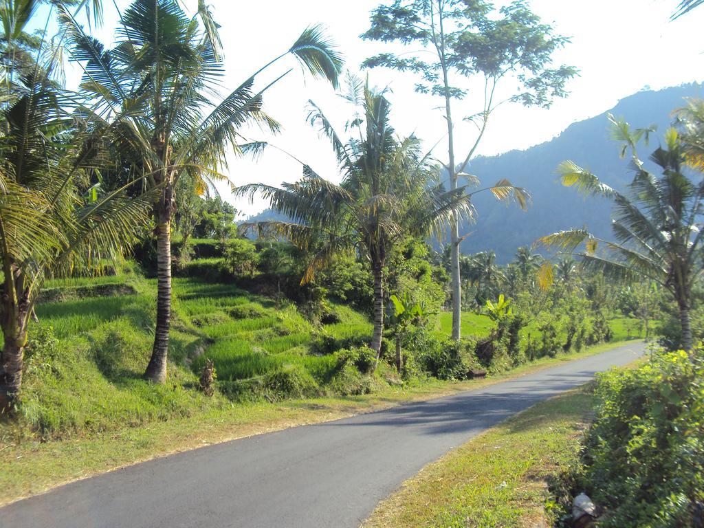 Villa Uma Ayu Sidemen Sidemen (Bali) Exterior foto